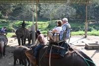 308 Elefantenritt &ndash; &copy; Kerstin Heintzel (Eberhardt TRAVEL)