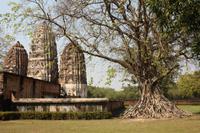 384 Wat Si Sawai &ndash; &copy; Kerstin Heintzel (Eberhardt TRAVEL)