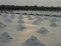 Tag 4 - 02 - erster Besichtigungsstopp an einer Saline (2) &ndash; &copy; Sabine Heitzer (Eberhardt TRAVEL)