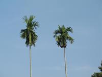 &copy; Nicole Niendorf (Eberhardt TRAVEL)