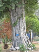 &copy; Nicole Niendorf (Eberhardt TRAVEL)