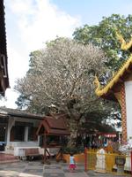 &copy; Nicole Niendorf (Eberhardt TRAVEL)