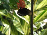 &copy; Nicole Niendorf (Eberhardt TRAVEL)