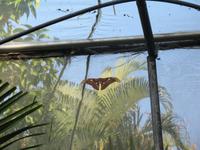 &copy; Nicole Niendorf (Eberhardt TRAVEL)