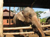 &copy; Nicole Niendorf (Eberhardt TRAVEL)
