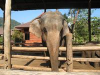 &copy; Nicole Niendorf (Eberhardt TRAVEL)