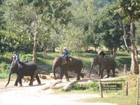 &copy; Nicole Niendorf (Eberhardt TRAVEL)