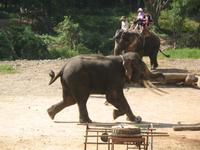 &copy; Nicole Niendorf (Eberhardt TRAVEL)