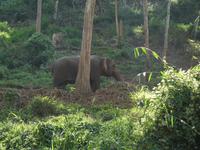 &copy; Nicole Niendorf (Eberhardt TRAVEL)