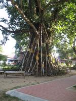&copy; Nicole Niendorf (Eberhardt TRAVEL)