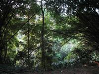 &copy; Nicole Niendorf (Eberhardt TRAVEL)