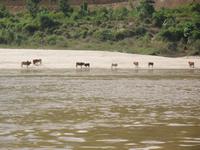 &copy; Nicole Niendorf (Eberhardt TRAVEL)