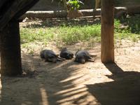&copy; Nicole Niendorf (Eberhardt TRAVEL)