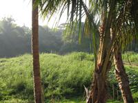 &copy; Nicole Niendorf (Eberhardt TRAVEL)