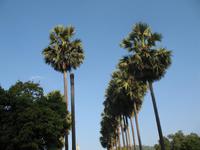 &copy; Nicole Niendorf (Eberhardt TRAVEL)