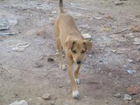 &copy; Nicole Niendorf (Eberhardt TRAVEL)