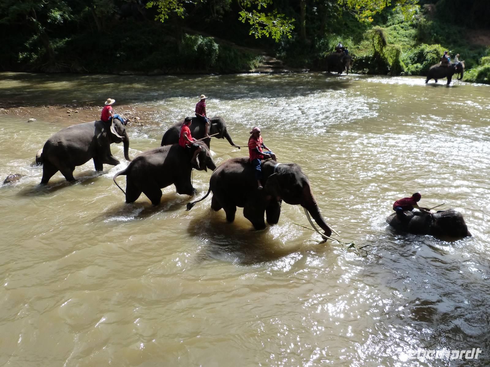 Elefantencamp &ndash; &copy; Maria Michel (Eberhardt TRAVEL)