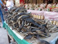 Fischmarkt &ndash; &copy; Maria Michel (Eberhardt TRAVEL)