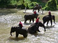Elefantencamp &ndash; &copy; Maria Michel (Eberhardt TRAVEL)