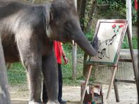 Elefantencamp &ndash; &copy; Maria Michel (Eberhardt TRAVEL)
