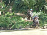 Elefantenritt &ndash; &copy; Maria Michel (Eberhardt TRAVEL)