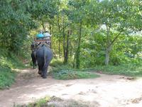 Elefantenritt &ndash; &copy; Maria Michel (Eberhardt TRAVEL)