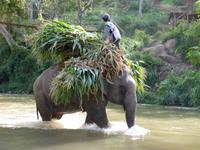 Elefantencamp &ndash; &copy; Maria Michel (Eberhardt TRAVEL)