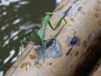 Tierwelt &ndash; &copy; Maria Michel (Eberhardt TRAVEL)