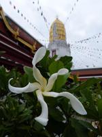 Phitsanulok &ndash; &copy; Maria Michel (Eberhardt TRAVEL)