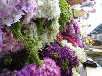 Blumenmarkt &ndash; &copy; Maria Michel (Eberhardt TRAVEL)
