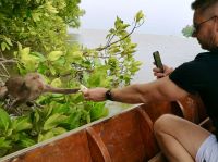 Khone Klone - Affen im Mangrovensumpf &ndash; &copy; Andreas Schmidt (Eberhardt TRAVEL)