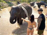 Chiang Mai - Elephant Jungle Sanctuary &ndash; &copy; Andreas Schmidt (Eberhardt TRAVEL)