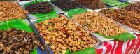 Dschungel - Snacks &ndash; &copy; Petra Hady (Eberhardt TRAVEL)