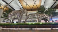 Flughafen Bangkok - Suvarnabhumi &ndash; &copy; Petra Hady (Eberhardt TRAVEL)