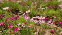Dantewada Land &ndash; &copy; Petra Hady (Eberhardt TRAVEL)
