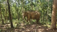 Elefant-Sanctuary-Camp &ndash; &copy; Petra Hady (Eberhardt TRAVEL)