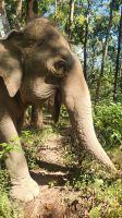 Elefant-Sanctuary-Camp &ndash; &copy; Petra Hady (Eberhardt TRAVEL)