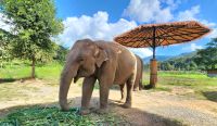 Elefant-Sanctuary Camp &ndash; &copy; Petra Hady (Eberhardt TRAVEL)