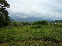 Elefantenausritt &ndash; &copy; Cornelia Ritter (Eberhardt TRAVEL)