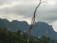 Abendsafari &ndash; &copy; Cornelia Ritter (Eberhardt TRAVEL)