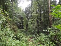Khao Sok-Nationalpark &ndash; &copy; Christina Schlawis (Eberhardt TRAVEL)