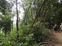 Khao Sok-Nationalpark &ndash; &copy; Christina Schlawis (Eberhardt TRAVEL)