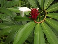 Khao Sok-Nationalpark &ndash; &copy; Christina Schlawis (Eberhardt TRAVEL)
