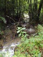 Khao Sok-Nationalpark &ndash; &copy; Christina Schlawis (Eberhardt TRAVEL)