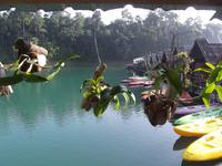 Unser Hotel auf dem Cheow Lan Lake &ndash; &copy; Christina Schlawis (Eberhardt TRAVEL)