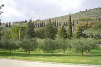 Umgebung von Spello &ndash; &copy; Katrin Deutschbein (Eberhardt TRAVEL)