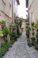 Spello &ndash; &copy; Katrin Deutschbein (Eberhardt TRAVEL)