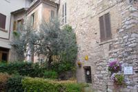 Spello &ndash; &copy; Katrin Deutschbein (Eberhardt TRAVEL)