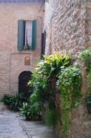 Spello &ndash; &copy; Katrin Deutschbein (Eberhardt TRAVEL)