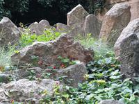 Städtereise Prag - Rundgang im Jüdischen Viertel mit Altem Jüdischen Friedhof &ndash; &copy; Franziska Bergmann (Eberhardt TRAVEL)